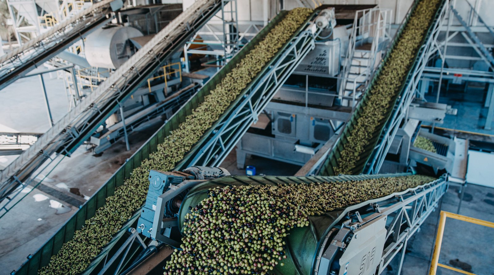 Planta industrial en Mendoza