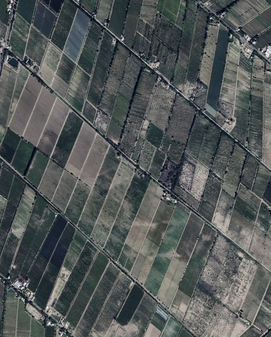 Herramientas de muestreo en vi&ntilde;edo mendocino
