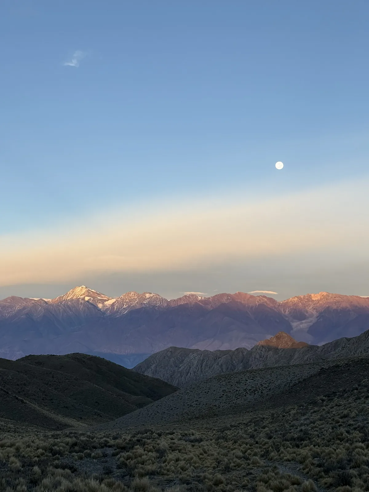 Viñedo con los Andes nevados, Mendoza